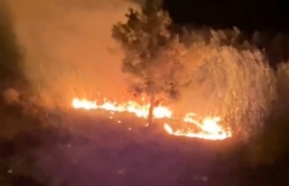 Alanya'da gece alevler yükseldi