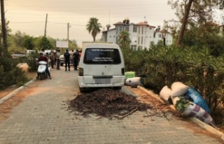 Alanya'da orman nöbetindeki vatandaşlar, keçiboynuzu...
