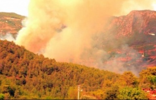 Alanya'daki yangına başsavcıdan soruşturma