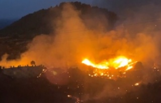 Alanya’da gece korkutan yangın!