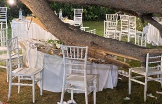 Antalya'da kır düğününde ağaç devrildi:...