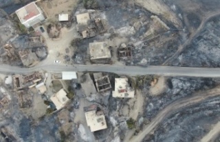 Bakan Pakdemirli: “Manavgat kontrol altında ancak...