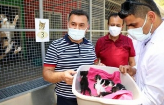 Başkan Yücel: ‘Alanya Belediyesi’ne iftira atıyorlar’