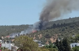 Bodrum'da yangın