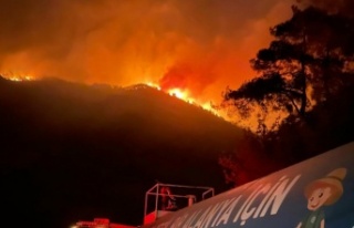 Bu kez alevler Gazipaşa'dan yükseldi