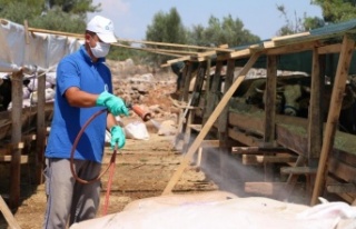 Büyükşehir bayrama hazır