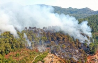 Dikkat! Ormanlık alanlara giriş yasaklandı