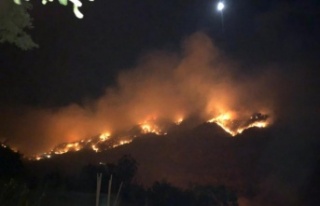 Gazipaşa'da 3 ayrı orman yangını