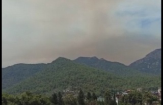 Gündoğmuş yangını Alanya sınırına dayandı