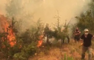 Gündoğmuş’a Alanya’dan yardım etmek isterseniz...