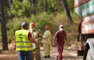 Konyaaltı'ndan Manavgatlı çiftçilere yem...