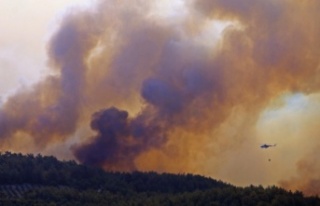 Manavgat'ta ormanlık alanda süren yangına...