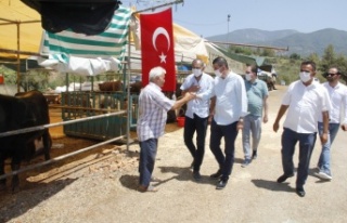 MHP'den kurban satış yerine ziyaret