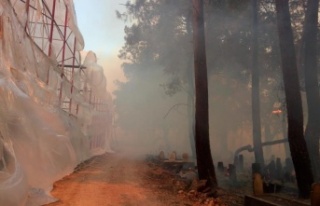 Muz seraları yandı traktörler alevlere teslim oldu
