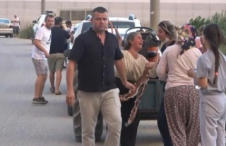 Sera ve ağaçları yanan kadınlar gözyaşına boğuldu