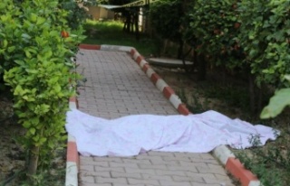 Sitenin bahçesinde ölü bulundu