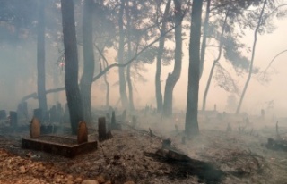 Yangın mezarlıkları bile küle çevirdi!