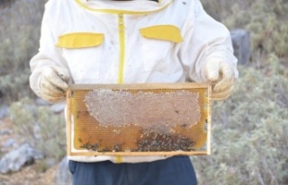 2 bin metrede kovanından çıkmadan satılıyor,...