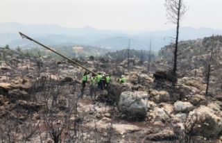 AEDAŞ, enerjisi ile ‘Manavgat’ın yanında