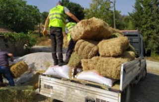 Afetzede besiciler için Kepez’den yem ve saman...