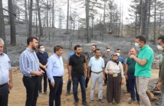 Ak Partili vekiller Güzelbağ ve Bayır'da