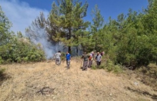 Akseki'deki orman yangını devam ediyor