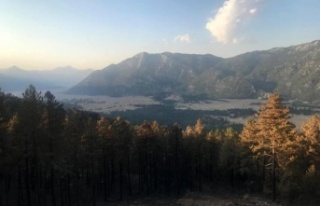 Akseki’de kara avcılığı yasaklandı