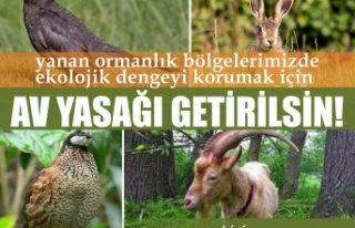 Alanya CHP'den av yasağı önerisi