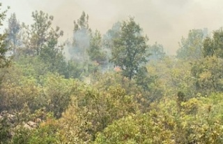 Alanya'da 2 personel yanmaktan son anda kurtarıldı