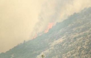 Alanya'da alevler yeniden yükseldi