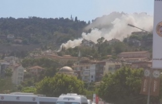 Alanya'da biri orman 2 ayrı yerde çıkan yangın...