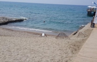 Alanya'da caretta carettalar denizle buluştu