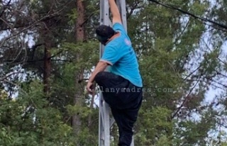 Alanya'da elektrik direğinde ölü bulundu