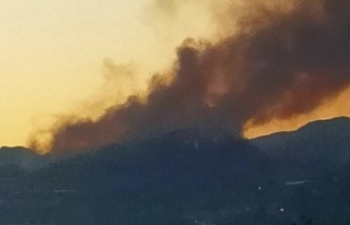 Alanya'da gece alevler yeniden yükseldi