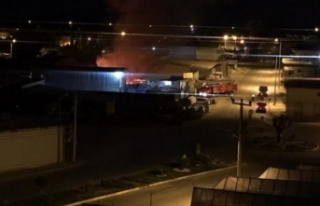 Alanya'da gece korkutan yangın