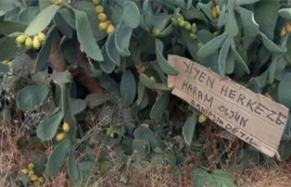 Alanya'da görenleri gülümseten uyarı