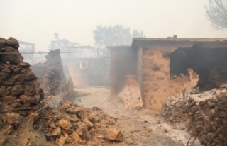 Alanya'da hasar tespit çalışması tamamlandı