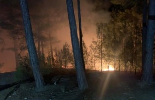 Alanya'da korkutan orman yangını