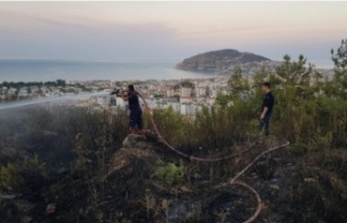 Alanya'da orman yangını vatandaşın dikkatiyle...