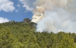 Alanya'da yine orman yangını başladı