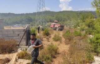 Alanya'daki orman yangını hızlı müdahale...