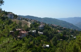Alanya'nın Gedevet Yaylası'nda silahlar...