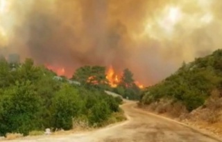 Alanya, Gündoğmuş, İbradı ve Akseki'de yangınlarda...