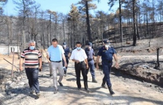 Alanya'nın yangın bölgesinde yaralar sarılıyor