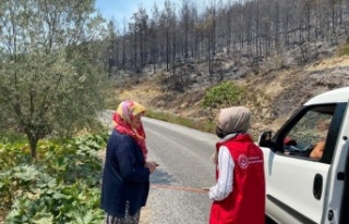 Alanya Sosyal Hizmet Merkezi yangın bölgesinde