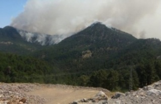 Alanya'ya düşen yıldırım ormanda yangın...