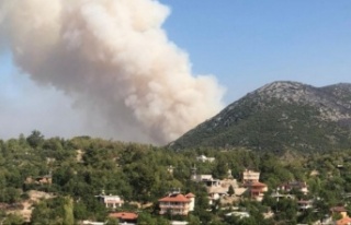 Alanya'yı yakan Güzelbağ yangını kontrol...