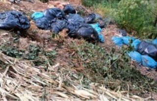 Alanyalı muhtarın isyanı