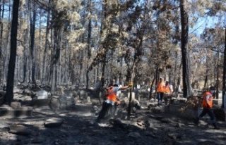 Antalya Büyükşehir mezarlıklarda  yangının...