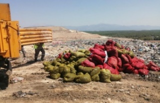 Antalya’da 4 ton kaçak midye ele geçirildi